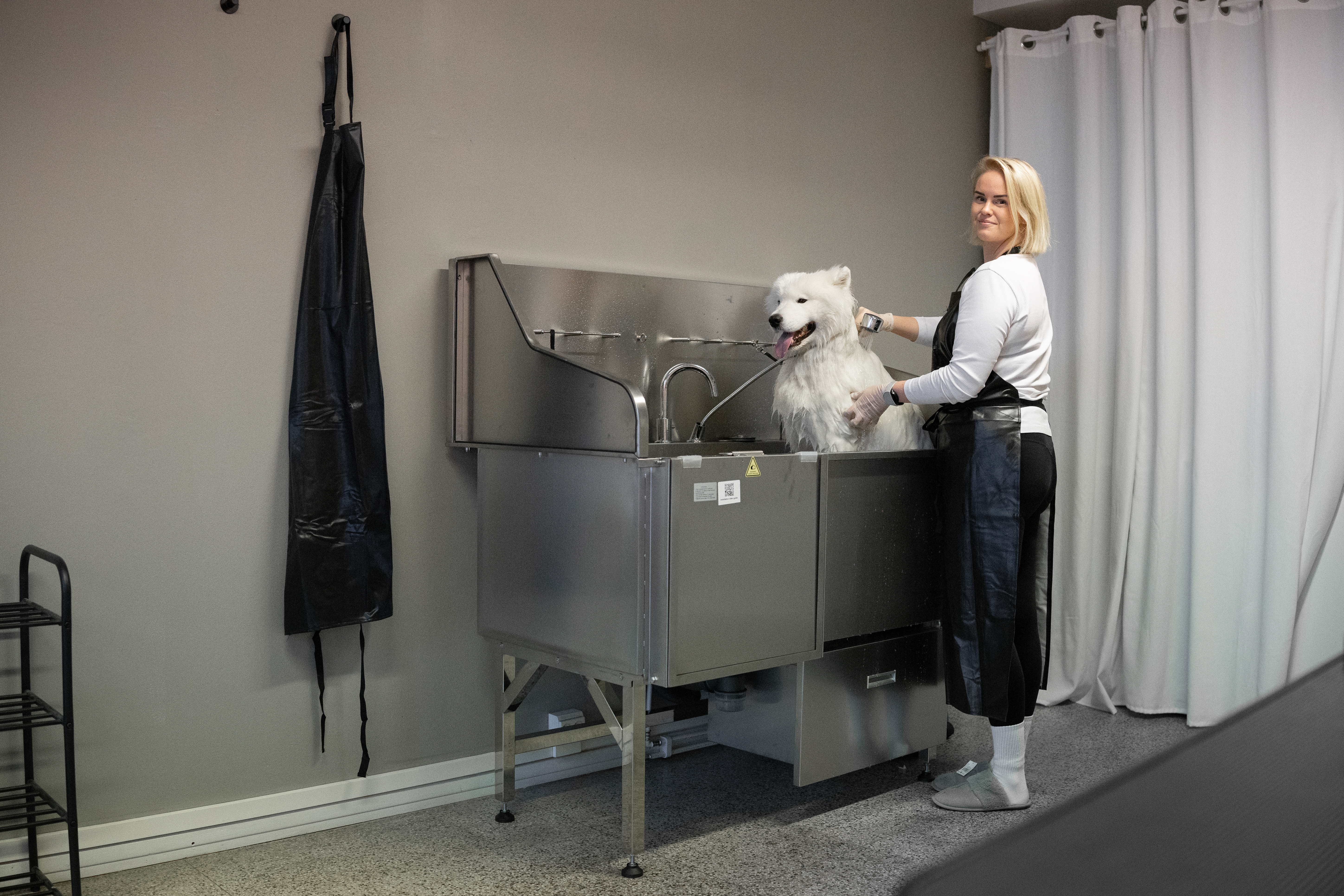 Pesuallas kokonaisuudessaan